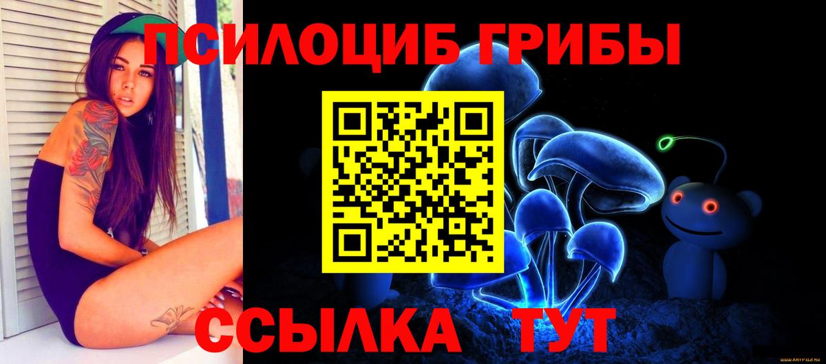 Псилоцибиновые грибы Psilocybe  Вход с VPN  Выборг 